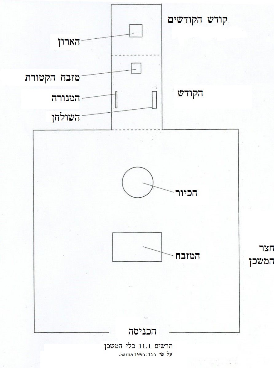 (כל התרשימים במאמר זה לקוחים מתוך ספרה של דאגלס ותורגמו על ידי צוות האתר).