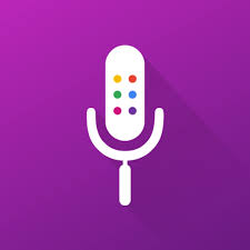 Google Voice Assistant Icon