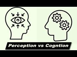 Two cartoonish outlines of human skulls appear from their profiles, facing each other. An eye is drawn in the blank space inside the left skull with arrows pointing to it. In the right one are two gears. Underneath both skulls the words "Perception vs Cognition" appear.